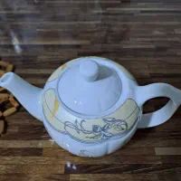 ظروف پذیرایی نوودرحدنو