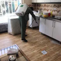 خدمات سمپاشی|خدمات نظافت|پیشوا, |دیوار