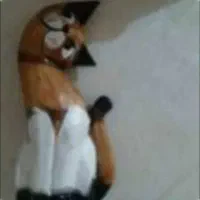 گربه های چوبی زیبا|مجسمه، تندیس، ماکت|ساری, |دیوار