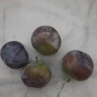 آلوی غلامان،یا آلو سیاه