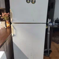 یخچال فیلور