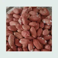 بادام زمینی  آجیلی تازه آستانه