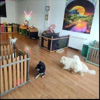 پانسیون حیوانات خانگی(سگ گربه پرنده خرگوش و. )