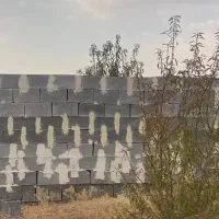 چسب بلوک چینی
