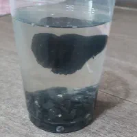 فایتر گرید(A)وارداتی|ماهی|اسلام‌شهر, شهرک مفیدی|دیوار