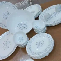 ظروف آرکوپال وملامین کفش پیراهن