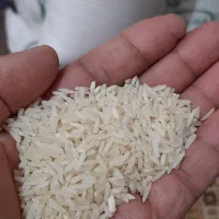 برنج طارم  هاشمی ...ودمسیاه