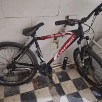 دوچرخه حرفه ای