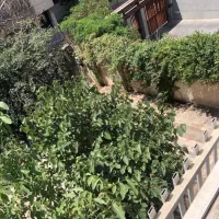 230 متر بازسازی شده سه خواب بهترین موقعیت توانیر