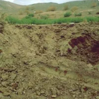 خاک باغچه100٪تضیمینی گوربندوماسه بادی .مل. کود