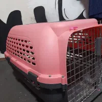 باکس حمل حیوانات