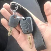 پیداشده سرپردیسان