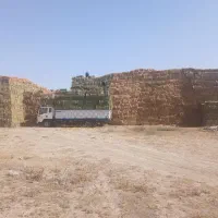 یونجه خشک|عمده‌فروشی|رشت, جانبازان|دیوار