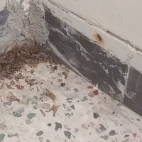 شرکت مبارزه با حشرات و ناقلین سلامت اندیشان طرهان|خدمات نظافت|کوهدشت, |دیوار