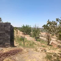 باغ-سندار-2000متری