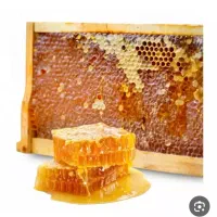 عسل کیلویی 700عمده 500 عسل جنوب به شرط تست