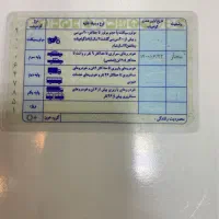 مدارک گمشده بنام رضا قاسمی