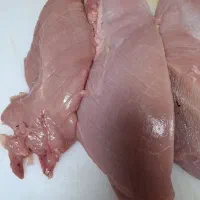 فروش بوقلمون  و گردن مرغ و بال مرغ