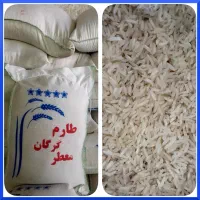 برنج طارم و عنبربو