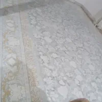 فرش۱۲متری ۱۲۰۰شانه|فرش|رشت, عینک|دیوار
