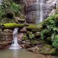 تور طبیعتگردی سلامت