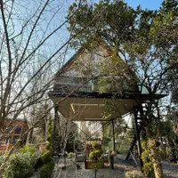 کلبه درختی نوساز ۱ خواب جکوزیدار