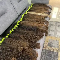 موی خانم