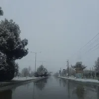 مسافر به تهران و شهرهای دیگر از شاهرود توافقی