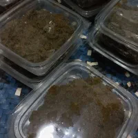 سبزی سرخ شده ترش واش|خوردنی و آشامیدنی|قم, شهرک امام حسن|دیوار