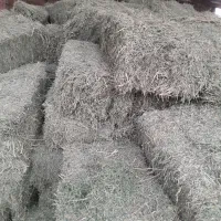 یونجه گل اول|لوازم جانبی حیوانات|صحنه, |دیوار