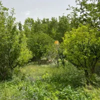 زمین چهاردیواری