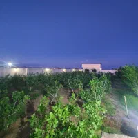 510متر-باغچه