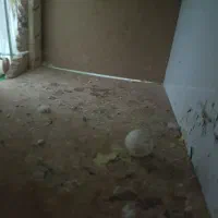 یک جفت عروس هلندی کار داده