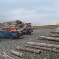 قالیشویی تمام صنعتی نگین