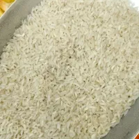 بهترین نمونه از برنج چمپا کالا برگ|خوردنی و آشامیدنی|شیراز, شریفآباد|دیوار