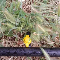 لوله کشی بارانی و قطره ای  ، لوله کشی ساختمان|خدمات باغبانی و درختکاری|زنجان, |دیوار