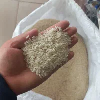 ۴۰۰ کیلو  برنج هاشمی اعلا محصول خودم