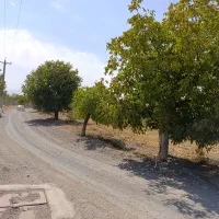 فروش زمین کشاورزی در دریان|فروش دفتر صنعتی، کشاورزی، تجاری|شبستر, |دیوار