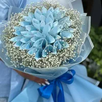 گل ربانی ،پول ارایی