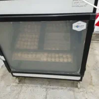 دستگاه جوجه کشی