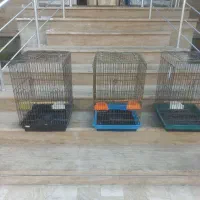 فروش قفس