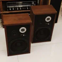 اسپیکر دیاتون DIATONE