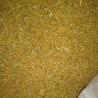 حیوانات مزرعه فروش گندم امیدیه