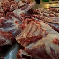 گوشت بز تازه