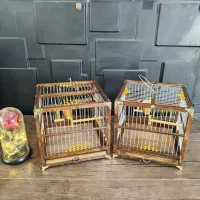 قفس (سهره)|لوازم جانبی حیوانات|دیلم, |دیوار