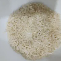 لاشه برنج فجر