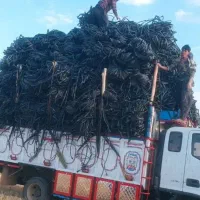 تیپ کشاورزی