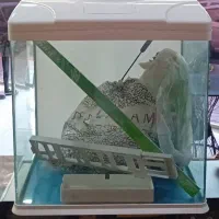 آکواریوم|ماهیگیری|قرچک, مهدیه|دیوار