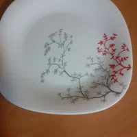 ظروف پذیرایی آرکوپال اسپانیایی