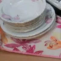 ظروف چینی